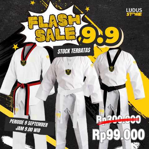 [FLASH SALE] Ludus Dobok Fighter Kyorugi