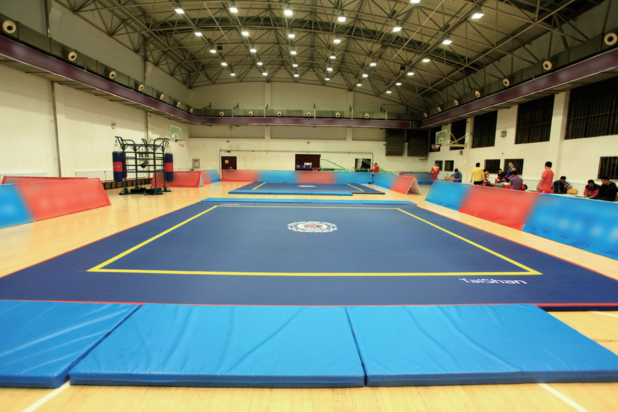 Taishan Sanda Warm Up Floor